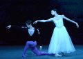 Xander Parish and Kristina Shapran in Giselle