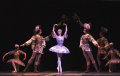 Olga Smirnova - Lilac Fairy end of Act I