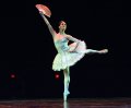 Marianela Nunez in Don Quixote Pas de Deux
