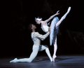 Prince Siegfried - Junor Souza and Odette - Anais Chalendard