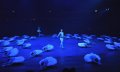 Prince Siegfried - Vadim Muntagirov and Swans