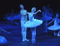 Prince Siegfried - Vadim Muntagirov and Odette - Daria Klimentova and