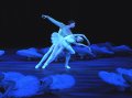 Prince Siegfried - Vadim Muntagirov and Odette - Daria Klimentova and