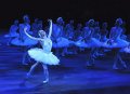 Odette - Daria Klimentova and Swans in Act III