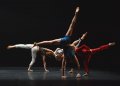 National Youth Dance Company Alumni in Forest Revisited