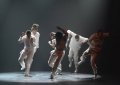 Hofesh Shechter Company in barbarians