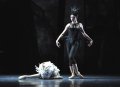 Anja Behrend - White Swan and Maude Sabourin - Her Majesty the Night
