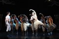 Sam Archer - The Prince, Jonathan Ollivier - The Swan and Swans