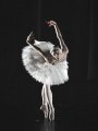 Melissa Hamilton in Fokines Dying Swan