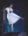Yanela Pinera - The Sylphide