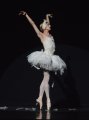 Eugenia Repelsii (Joshua Thake) as the Dying Swan