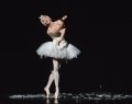 Eugenia Repelsii (Joshua Thake) as the Dying Swan