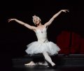 Eugenia Repelsii (Joshua Thake) as the Dying Swan
